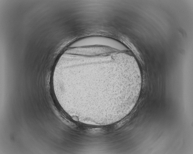 X0000111200058200908121119