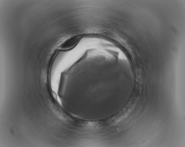 X0000111200060200908121119