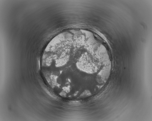 X0000111200061200908121119