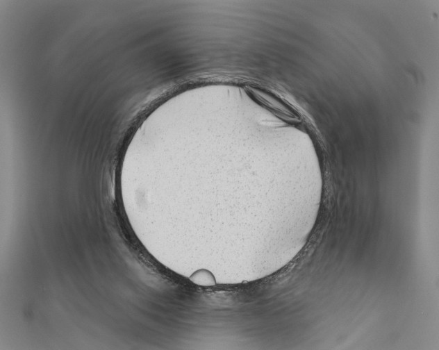 X0000111200062200908121119