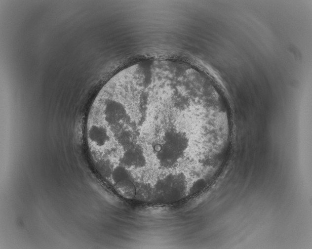 X0000111200065200908121119