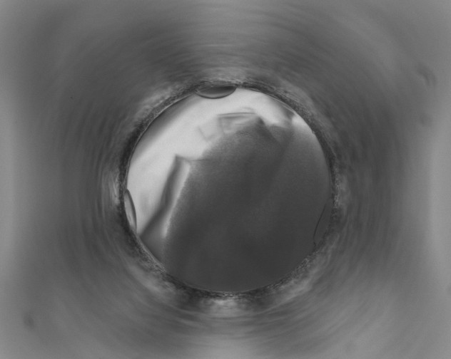 X0000111200068200908121119