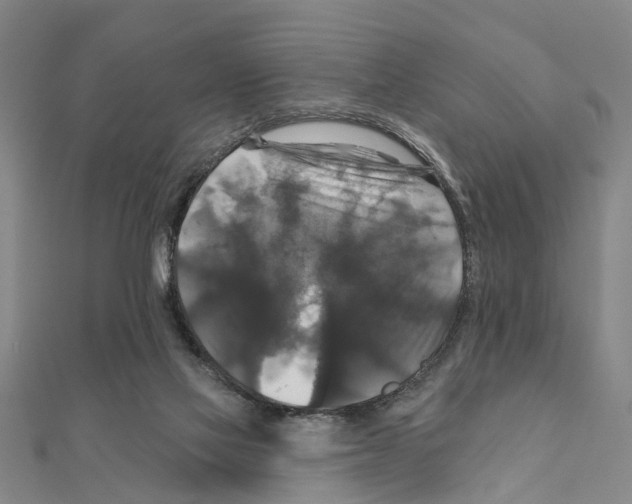 X0000111200069200908121119