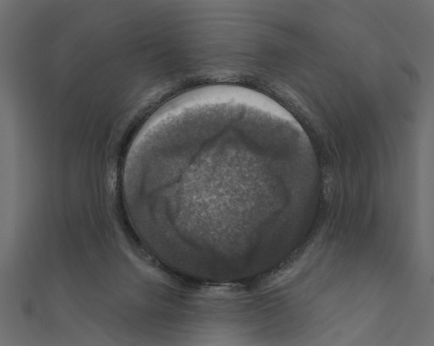 X0000111200072200908121119