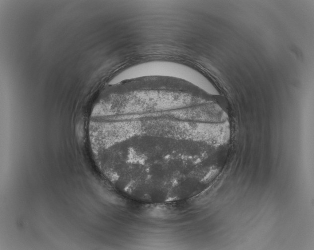 X0000111200074200908121119