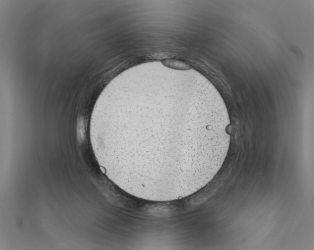 X0000111200075200908121119