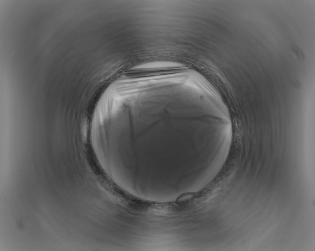 X0000111200076200908121119