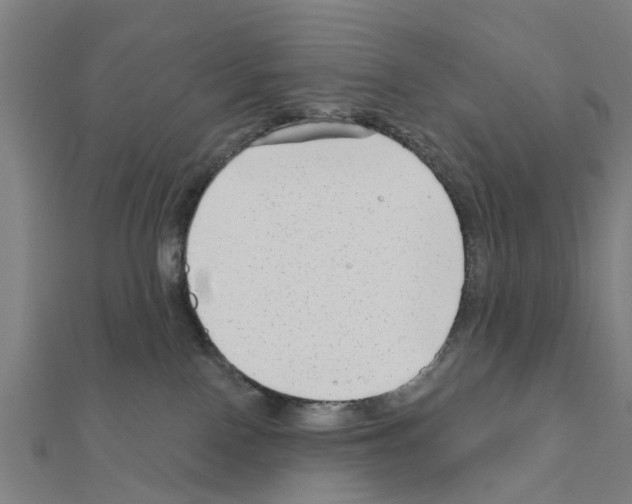 X0000111200090200908121120