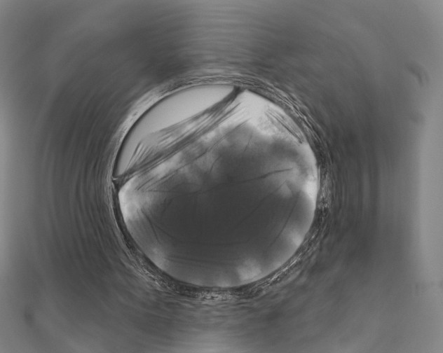 X0000111200099200908121119