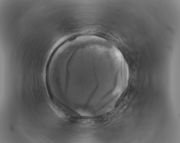 X0000111200100200908121119