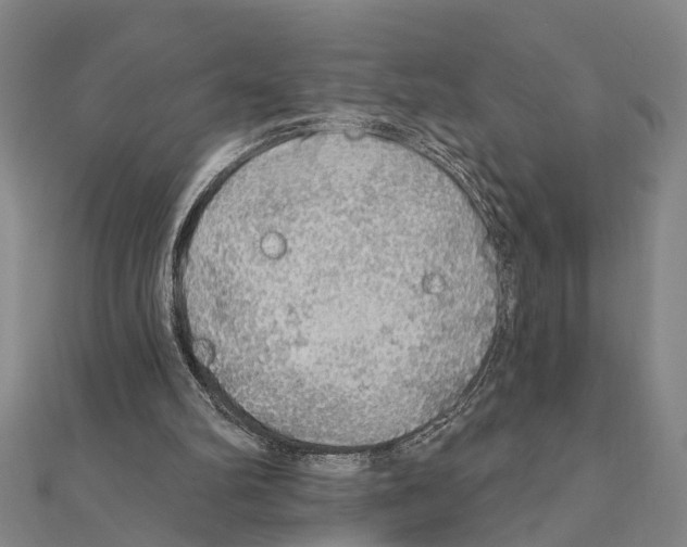 X0000111200102200908121119