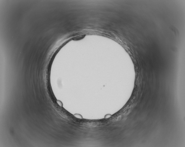 X0000111200103200908121119