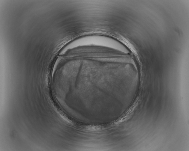 X0000111200105200908121119