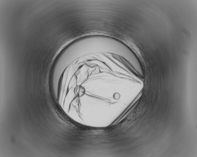 X0000111200108200908121119