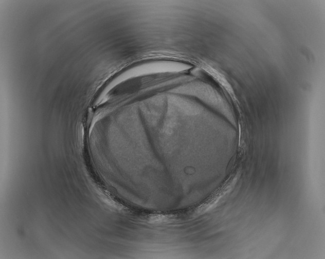 X0000111200109200908121119