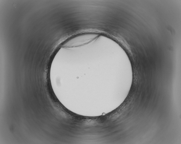 X0000111200111200908121119