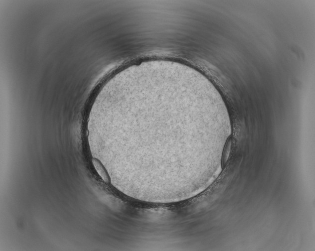 X0000111200112200908121119