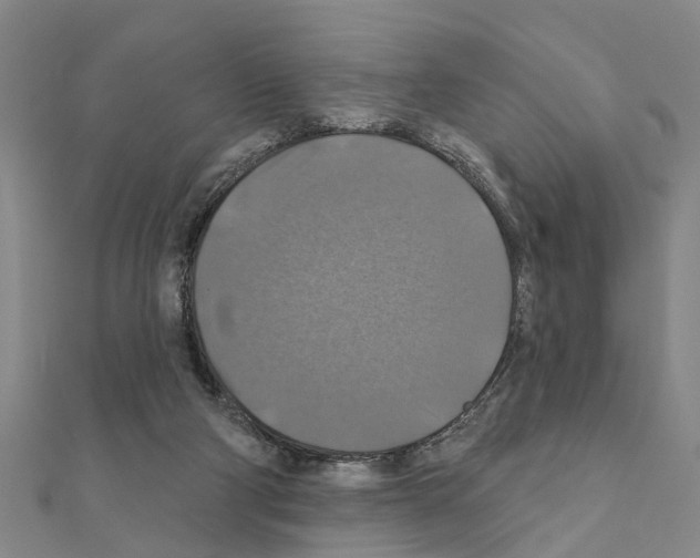 X0000111200114200908121119