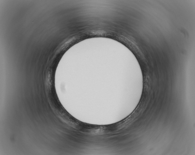 X0000111200116200908121119