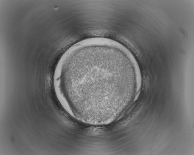 X0000111200117200908121119