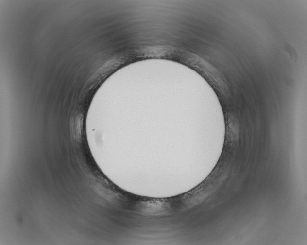 X0000111200118200908121119