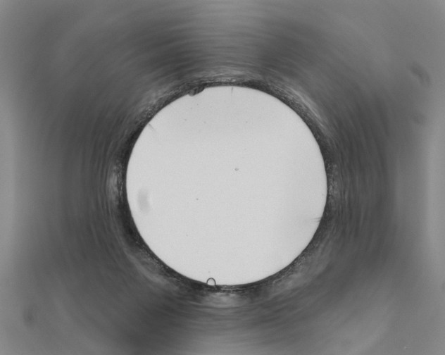 X0000111200119200908121119