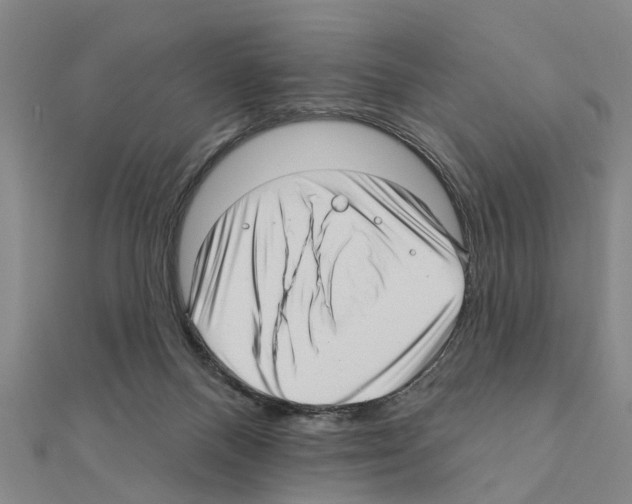 X0000111200120200908121119