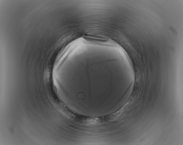 X0000111200124200908121119