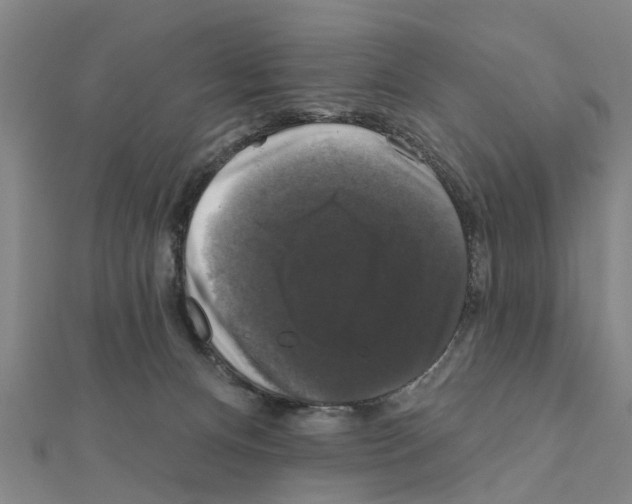 X0000111200128200908121119