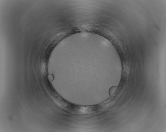 X0000111200130200908121119