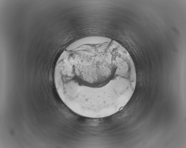 X0000111200131200908121119