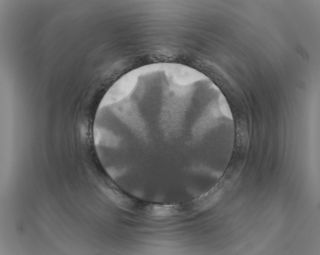 X0000111200134200908121119