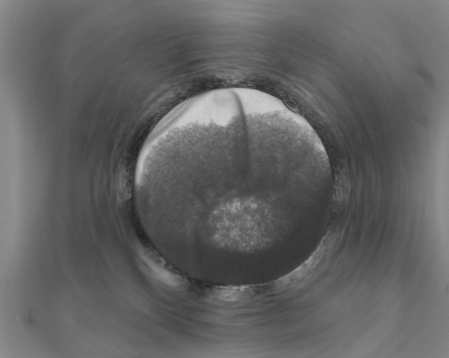 X0000111200136200908121119