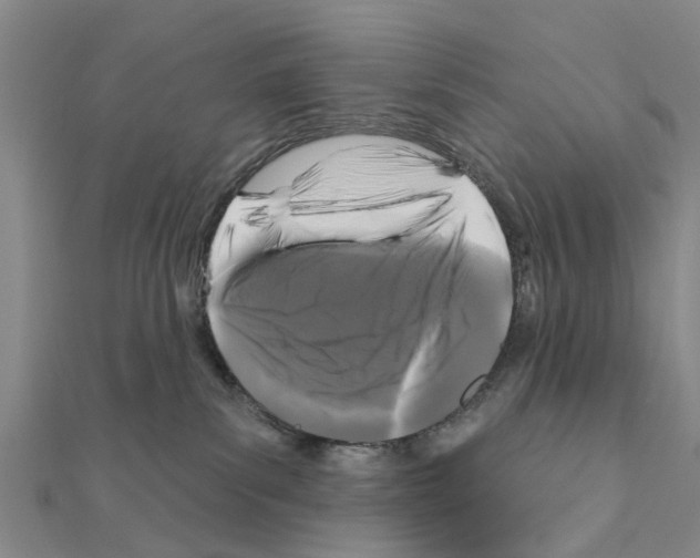 X0000111200139200908121118