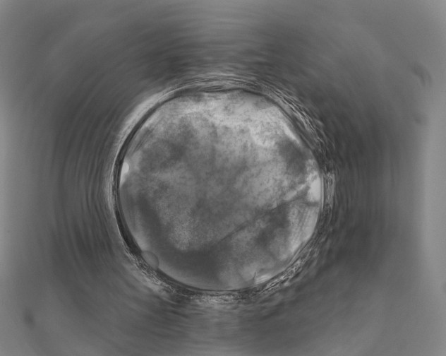 X0000111200147200908121118