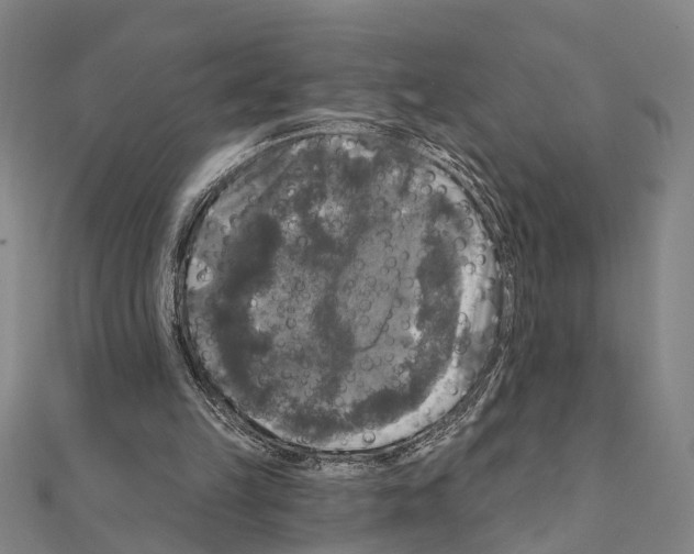 X0000111200149200908121118