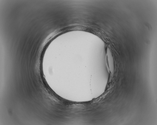 X0000111200150200908121118