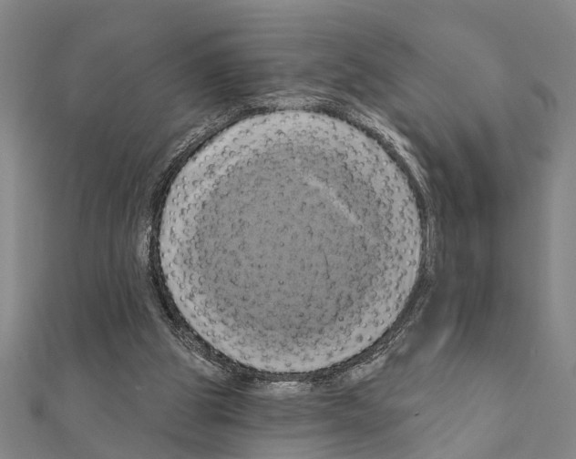 X0000111200153200908121118