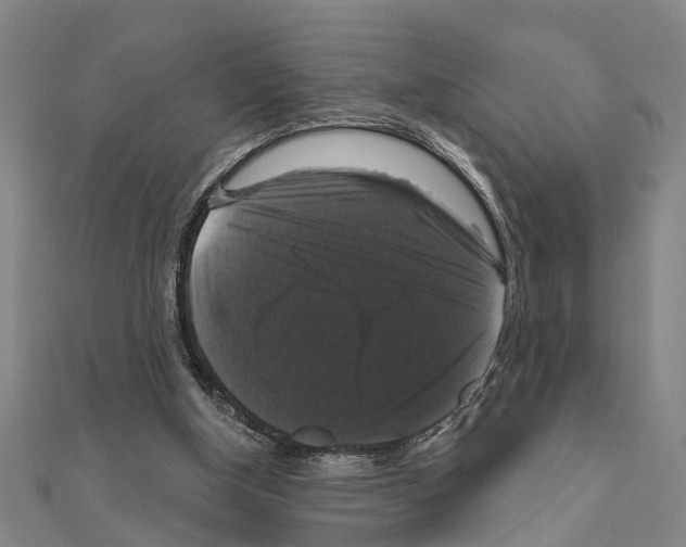 X0000111200154200908121118