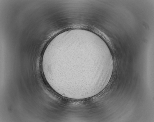 X0000111200155200908121118