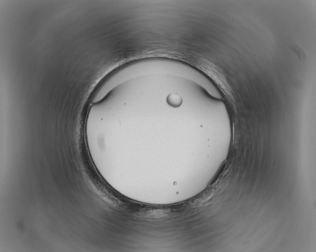 X0000111200156200908121118