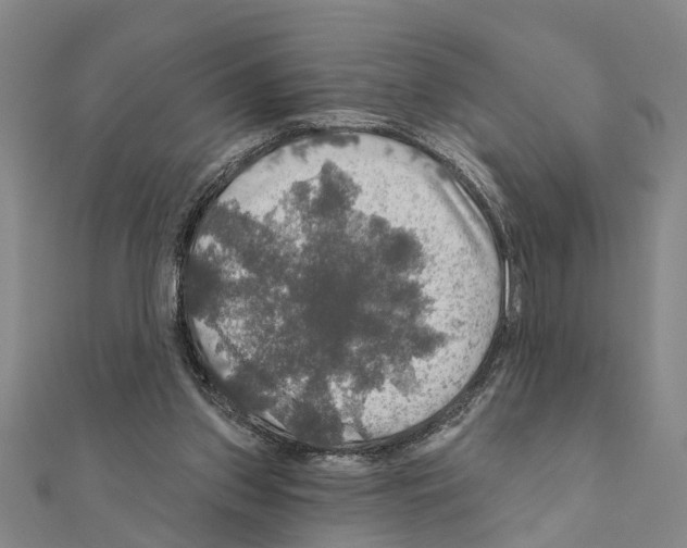 X0000111200157200908121118