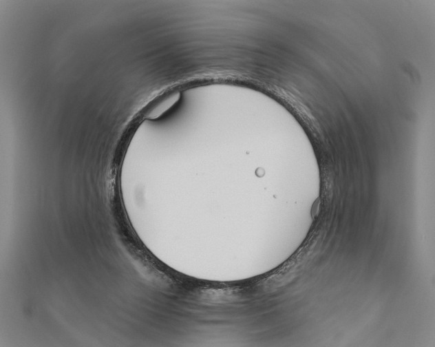 X0000111200160200908121118