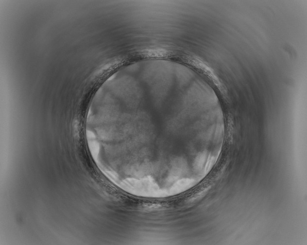 X0000111200161200908121118