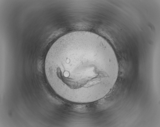 X0000111200162200908121118