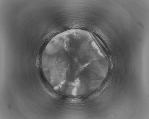 X0000111200165200908121118