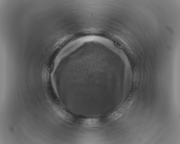 X0000111200168200908121118