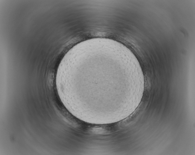 X0000111200171200908121118