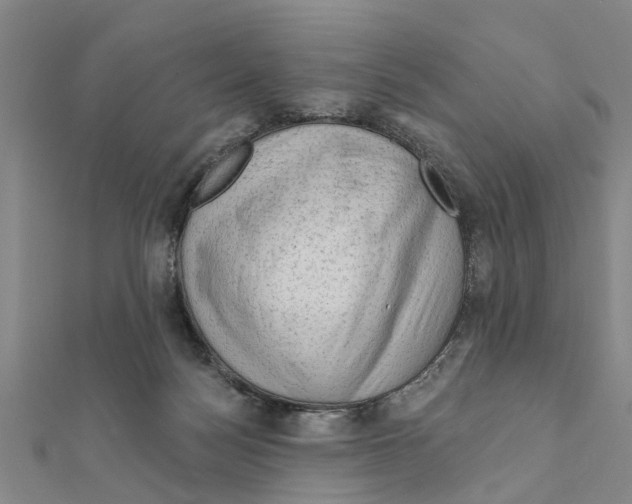 X0000111200172200908121118