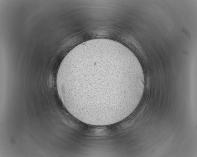 X0000111200173200908121118